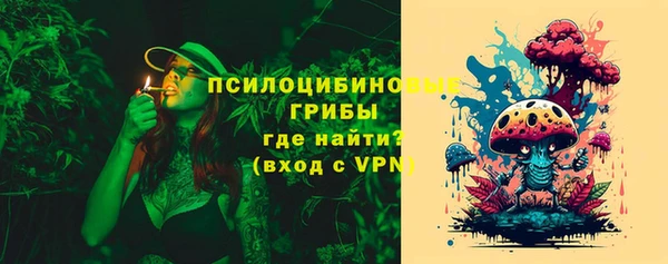 ПСИЛОЦИБИНОВЫЕ ГРИБЫ Алзамай
