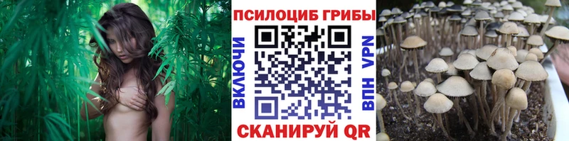 что такое наркотик  Покачи  Псилоцибиновые грибы мухоморы 